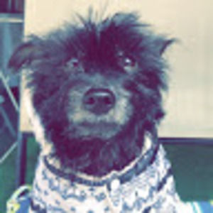 Meet your Posher, Eric